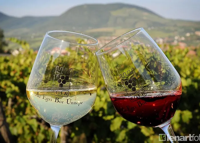 Netta Lägenhet Eger